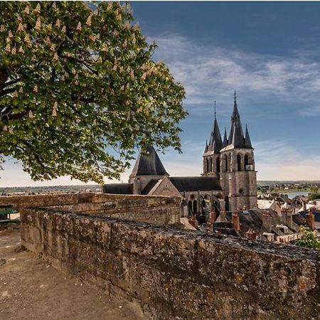 Appartement Coeur De Blois /Heart Of The City Kültér fotó
